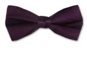 Boy's Eggplant Purple Solid Satin Pre-Tied Bowtie for Schools - Weddings- NWT