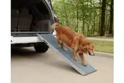 Happy Ride Solvit Deluxe Telescopic Dog Ramp - X Large up to 221cm
