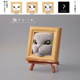 日本 正版 QUALIA 相框裡的貓咪 扭蛋 可愛貓臉 畫架 三花貓 潮玩 擺飾