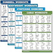 Palace Learning 4 Pack - Dumbbell Workouts + Bodyweight Workouts + Stretching Exercises + Cable Workout - Set of 4 Workout Charts (18” x 24”, LAMINATED)