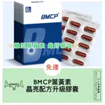 【三人禾保健室】BMCP晶亮配方升級膠囊(574MG/粒，30粒/盒)