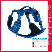 Rogz Harness Explore Blue Xlarge