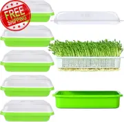 6 Pack Seed Sprouting Tray with Drain Holes BPA Free Nursery Tray Microgreens Gr
