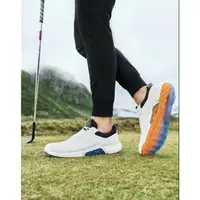 在飛比找蝦皮購物優惠-歐瑟-ecco golf BIOM HYBRID 4 男款高