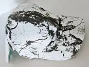 The Concealor NATURAL GEAR CAMO Hunting Hat w/ concealed Mosquito Net/ Sun Cover