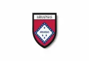 PATCH PATCHES EMBLEM IRON ON GLUE PRINT FLAG world crest usa arkansas