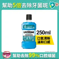 在飛比找PChome24h購物優惠-李施德霖 薄荷除菌漱口水250ml