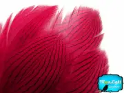 1 Dozen Claret Silver Pheasant Plumage Barred Feathers Fly Tying Jewelry Costume