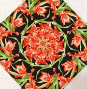 16 9.5" Lexington Gladiolus #1 * Stack 'n Whack Quilt Blocks * Kaleidoscope