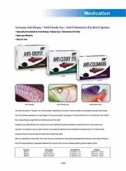 OCEAN FREE ANTI-CLOUDY EYE for AROWANA or STINGRAY (10 CAPS)
