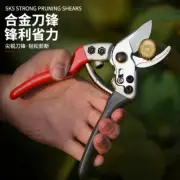 Pruning Scissors Flowers Tree Scissors Tree Shears Pruning Thick Branches
