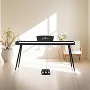 Professional 88-Key Weighted Digital Piano with Hammer Action & French Dream Sound Source,129 Timbres, 82 Rhythms, 60 Demo songs, Multifunction Panel & Extended Functions,3 Pedals. (Black)
