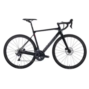 ~騎車趣~ HASA RS1 碳纖維碟煞公路車 SHIMANO 105 DI2 電子變速 2X12速