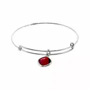 ALEX & ANI Precious Ruby red intellect Bracelet silver 92.5 pc13b122s