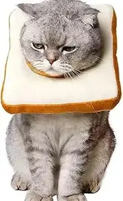 Adjustable Cat E-Collar, Cute Toast Neck Cone After Surgery, Wound Healing Protective Cone Bread Surgery Recovery Collars, Soft Edge for Kitten and Cats (Khaki, M)