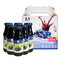 在飛比找PChome24h購物優惠-天廚-藍莓汁200ml(6瓶)