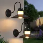 Gooseneck Outdoor Light Fixtures, 2-Pack Farmhouse Barn Lights for Porch,10 i...