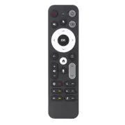 Remote Controls with Enhanceds Microphones and Gyroscopes for Operation