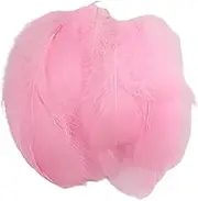 Wepetyo 300 Pcs Feathers Crafts for DIY Craft,Goose Feathers Bulk,Feathers For Crafts For Wedding Home Party Decorations(pink)