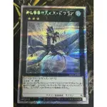 現貨 有點名 遊戲王 日紙 AC01-JP000 NO.17 深海邪龍 星光體 白鑽