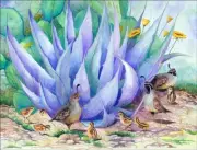 Quail Accent & Decor Tile Susan Libby Bird Art SLA009AT