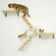 Cat Wall Furniture Set, Including Cat Floating Shelf Cat Climbing Step, Cat W...