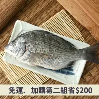 在飛比找台灣好農優惠-(3包組)【台西聚鮮】生態飼育黑格魚250g