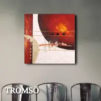 在飛比找momo購物網優惠-【TROMSO】時尚無框畫抽象藝術-烈日光耀W421(畫作無