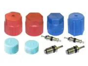 For 1997-2002 Jaguar XK8 A/C System Valve Core and Cap Kit 48641SN 1999 1998 (for: Jaguar)