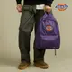 Dickies男女款紫色防水Logo印花圖案後背包|DK008935F93