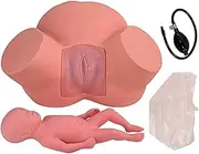 Midwifery Training Simulator Childbirth Demo Female Pelvic Fetus Model Normal Abnormal Fetal Position Delivery Manikin Teaching Model
