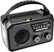 Bluetooth Wireless Speaker Radio with LED Flashlight LED Flashlight Power ABS BT LED Flashlight Hand Crank Radio Sos, Darkgray