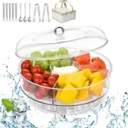 Chillded Veggie Tray Platter Clear Plastic Serving Platter with Lid and Dip Divi