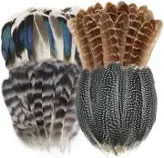 40Pcs Natural Pheasant Feathers, Spotted Feathers, Turkey Feathers, 4 Styles ...
