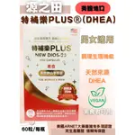 (免運)【源之田】特補樂PLUS®(DHEA)素食膠囊60粒(備孕需要補充）男女適用  賜汝蒙 惠爾蒙 賜爾康能 思韻蒙