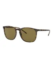 [Ray-Ban] RB4387 Brown Sunglasses