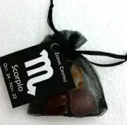 Zodiac Crystal Bag Scorpio