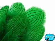 1 Dozen Green Silver Pheasant Plumage Barred Feathers Fly Tying Jewelry Costume