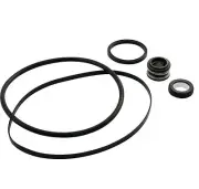 Hayward Super 2 II Swimming Pool Pump Parts Kit w/Viton Seal, O-Ring, Gasket