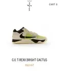 Air Jordan Jumpman Jack TR Travis Scott Bright Cactus (Size 14)