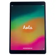 Apple iPad Pro 1st Gen. (A1701) 64GB Wi-Fi 10.5 in - Space Gray Tablet - Refurbished (Very Good)