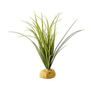 Exo Terra Turtle Grass