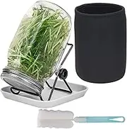 Seed Sprouting Jar Kit, 1 pcs Wide Mouth Quart Mason Jars with 304 Stainless Steel Screen Sprout Lids,86mm Caliber,1000ml,with Tray,Stand,Shading Cloth and Canning Brush,for Making Seeds Sprouts (1)