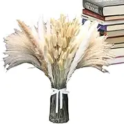 Dried Pampas Grass Decor | Natural Pampas Bouquet Decor | Rustic Reed Grass Bouquet, Vintage Bedroom Decor Aesthetic Flower for Wedding Floral Arrangements Home Decorations