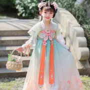 Girls Embroidered Hanfu Dress Kids Chinese Costume Chiffon Princess Tang Suit