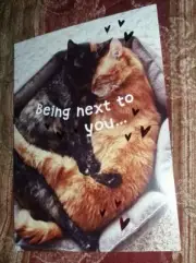 Recycled paper greeting Valentine card for all/ being next to you is my favorite