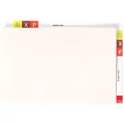 Avery Foolscap Twin Tab Shelf Lateral File White 100 Pack