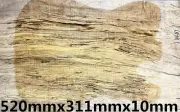 Figure Telecaster Guitar Drop Top Spalted Maple Wood Set Luthier Supply