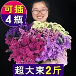 真花自然風干花花束論斤賣云南勿忘我滿天星客廳擺設家居裝飾件