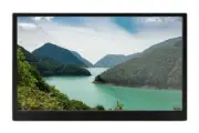 Kogan XPRESSO 15.6" Full HD IPS Portable Monitor with Leather Case
